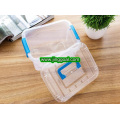 Small  and  Large  Plastic Storage  Box